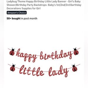 Glittery Red Ladybug Happy Birthday Banner - Little Lady Party Decoration